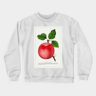 Snow Apple Lithograph (1900) Crewneck Sweatshirt